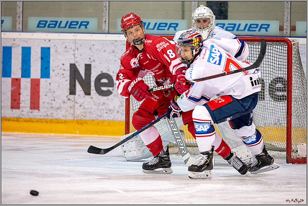 DNL-Playofffinale; Junghaie Koeln - Jungadler Mannheim, 20.03.2019